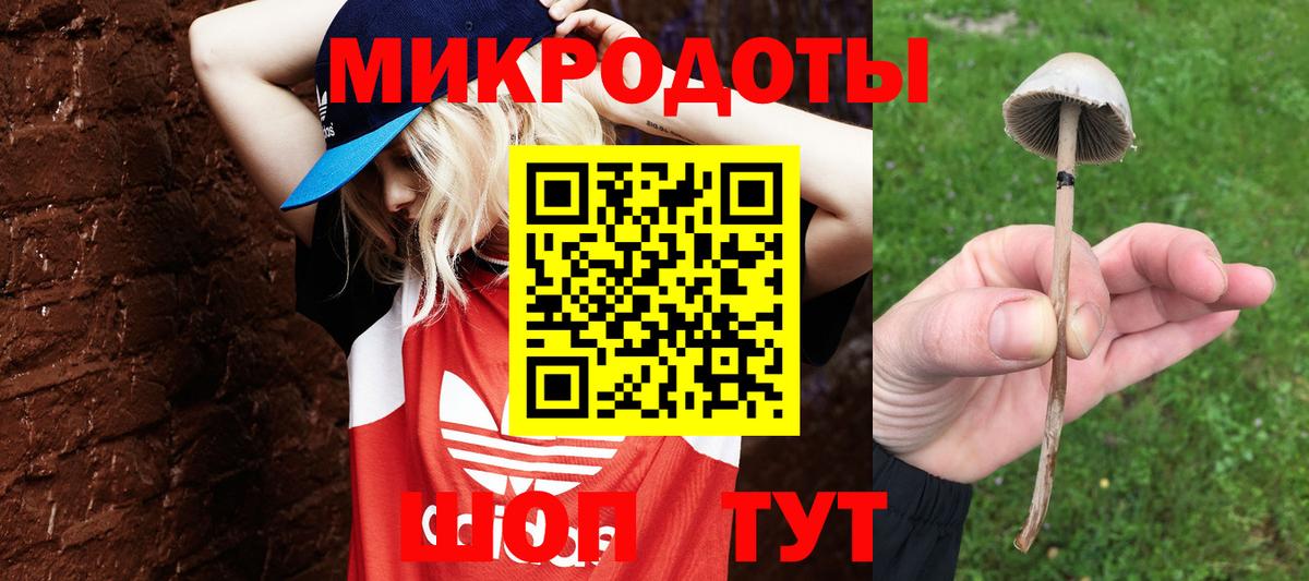 Наро-Фоминск  Псилоцибиновые грибы прущие грибы  Вход с VPN 