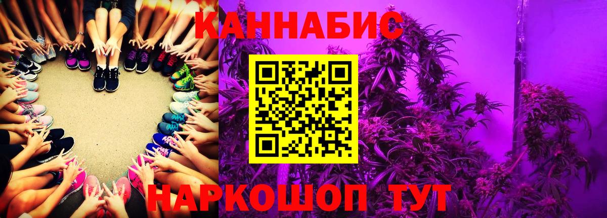 Шишки марихуана тримм  Бошки Шишки план  Наро-Фоминск  Вход с VPN 